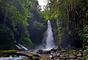 Discover the Enchanting Beauty of Telunjuk Raung Waterfall
