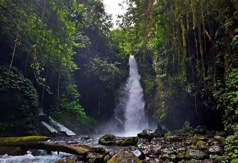 Discover the Enchanting Beauty of Telunjuk Raung Waterfall