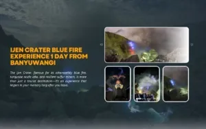 Ijen Crater Blue Fire Experience 1 Day from Banyuwangi