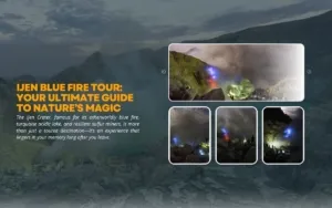 Ijen Blue Fire Tour: Your Ultimate Guide to Nature’s Magic