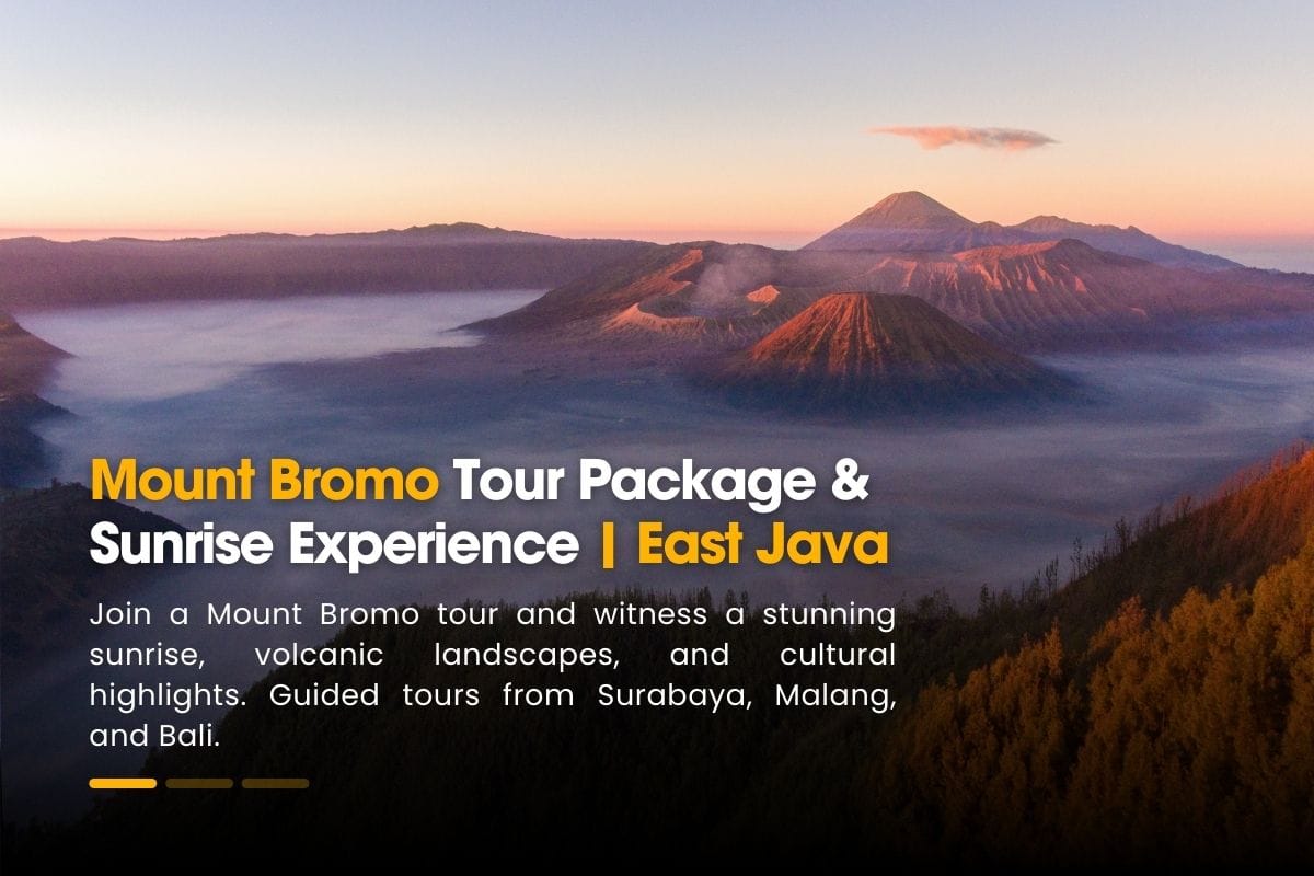 Mount Bromo Tour Package & Sunrise Experience | East Java