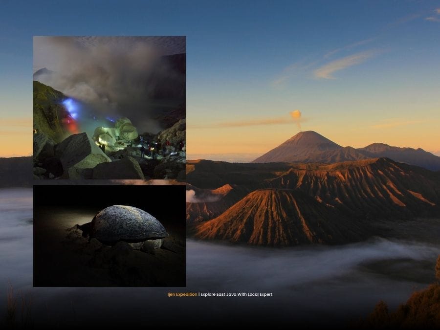 Bromo Ijen and Sukamade turtle conservation journey