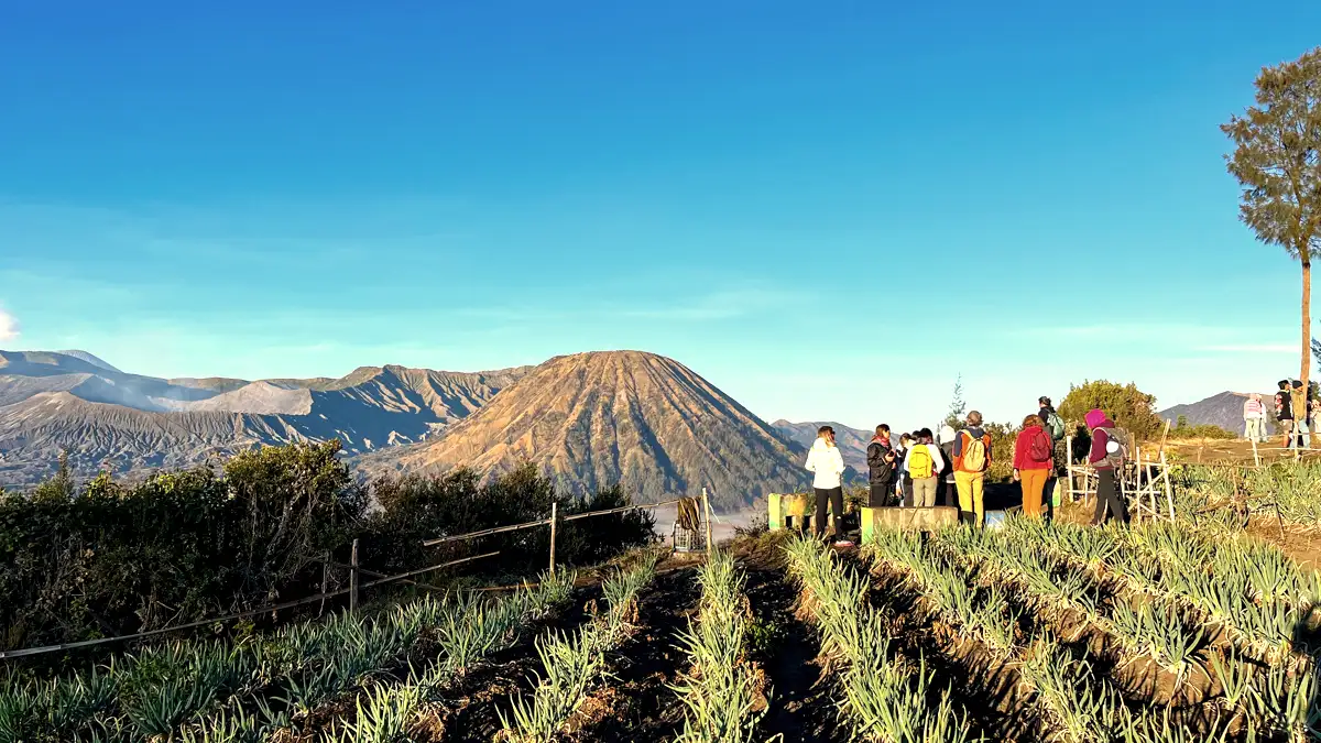 Bromo Ijen Tour from Bali Mount Bromo and Ijen Crater Sunrise Tour